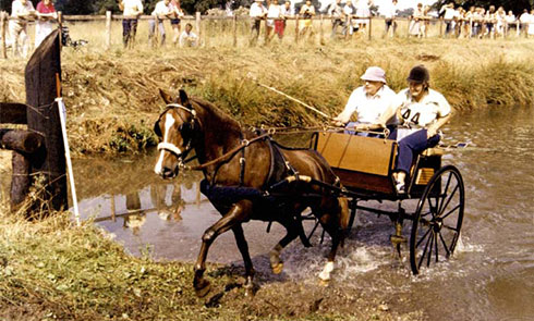 Douglas Strachan At Osberton 1983